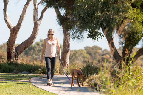 Meningie Walking And Cycling Trails - Attractions Brisbane 0