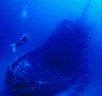 Merimbula Divers Lodge - Attractions Brisbane
