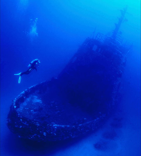 Merimbula Divers Lodge - Attractions Brisbane 0