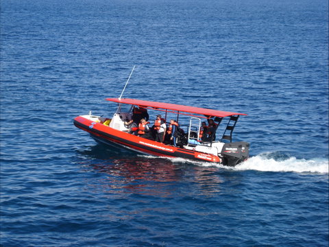 Merimbula Divers Lodge - Attractions Brisbane 1