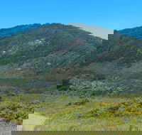 Monument Hill Walking Track - Attractions Brisbane