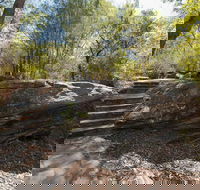 Mooney Mooney nature walk - Attractions Brisbane