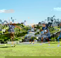 Moore Park Golf Course - Attractions Brisbane