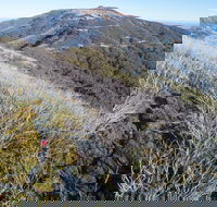 Mt Buller Bike Park - Attractions Brisbane