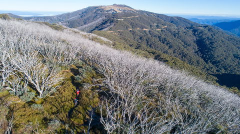 Mt Buller Bike Park - Attractions Brisbane 0