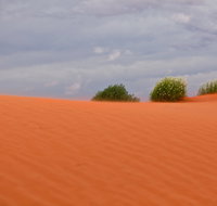 Munga-Thirri - Simpson Desert Conservation Park and Regional Reserve - Attractions Brisbane