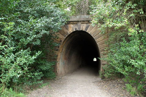 Mushroom Tunnel - Attractions Brisbane 0