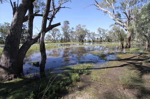 North Western Fishing Trail - Attractions Brisbane 2