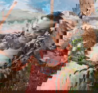 Oakvale Wildlife Park - Attractions Brisbane