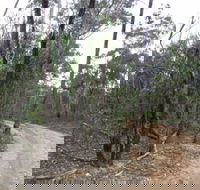 Paddys Ranges State Park - Attractions Brisbane