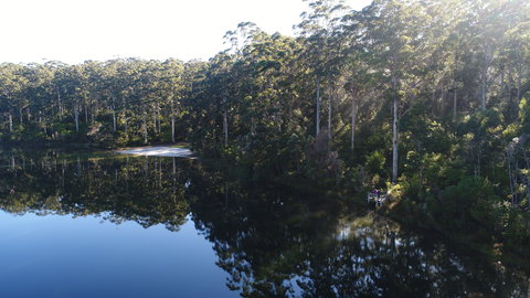 Pemberton - Attractions Brisbane 1