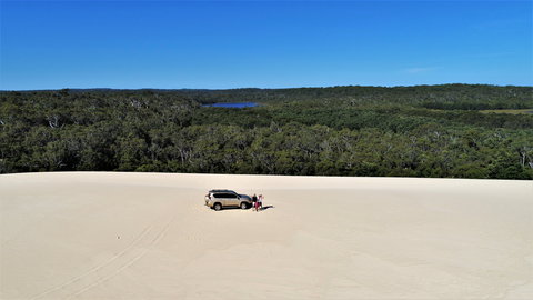 Pemberton - Attractions Brisbane 2