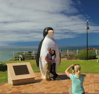 Penguin - Attractions Brisbane