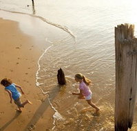 Phillip Island - Attractions Brisbane