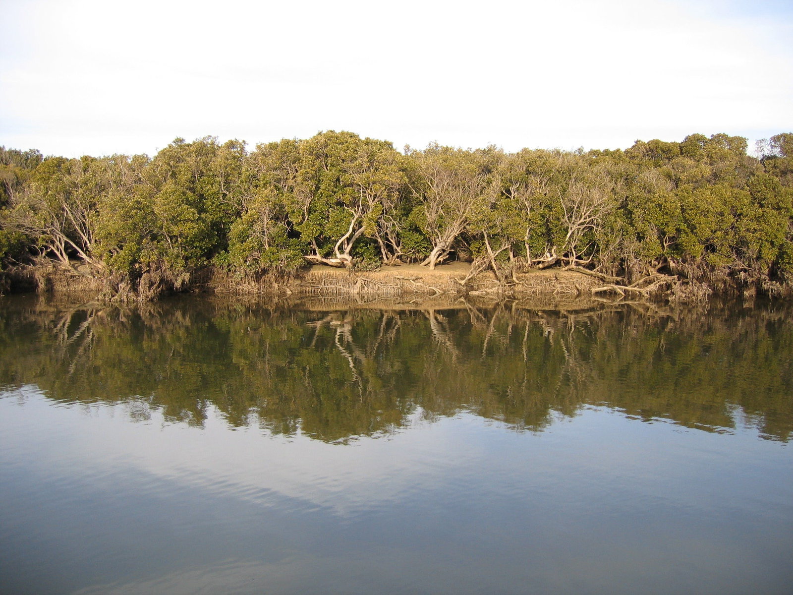 Yorke Peninsula SA Attractions Brisbane
