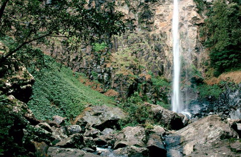Rawson Falls Walk - Attractions Brisbane 0