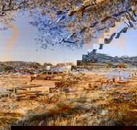 Rennix walking track - Attractions Brisbane