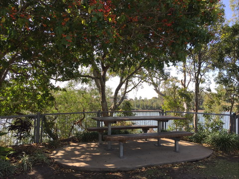 Riverside Parklands And Playground - Attractions Brisbane 1