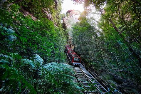 Scenic World Blue Mountains - Attractions Brisbane 0