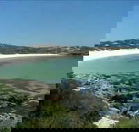 South Bay - Attractions Brisbane