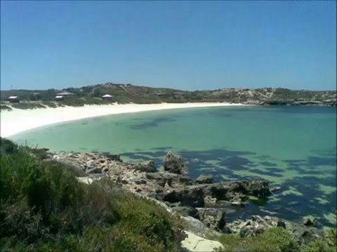 South Bay - Attractions Brisbane 0