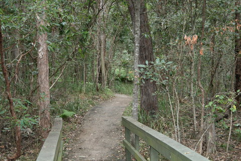 Springwood Conservation Park - Attractions Brisbane 0