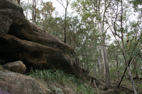 Springwood Conservation Park - Attractions Brisbane 2