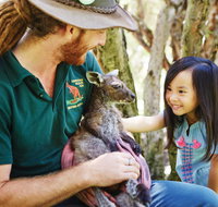 Swan Valley Kids In The Valley Trail - Attractions Brisbane