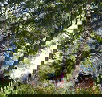 The Outlook Riding Academy - Attractions Brisbane