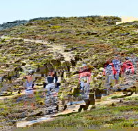 The Sole Walk at Hillocks Drive - Attractions Brisbane