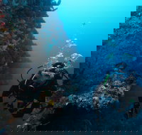 Twelve Apostles Marine National Park - Attractions Brisbane