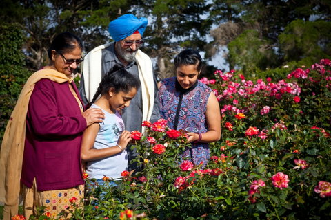 Victoria State Rose Garden At Werribee Park - Attractions Brisbane 0