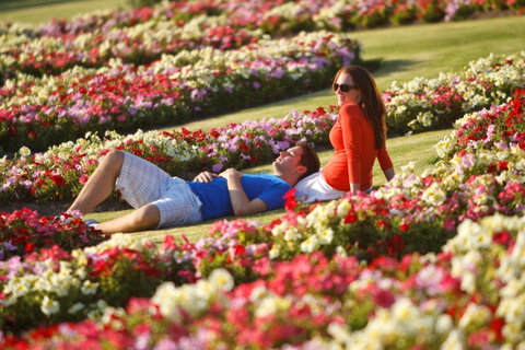 Victoria State Rose Garden At Werribee Park - Attractions Brisbane 1