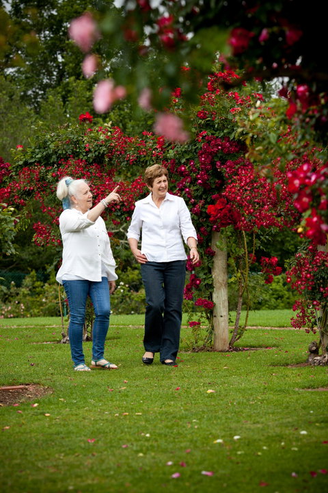 Victoria State Rose Garden At Werribee Park - Attractions Brisbane 2