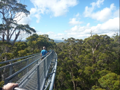 Walpole-Nornalup National Park - Attractions Brisbane 0