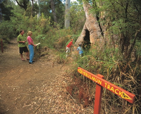 Walpole-Nornalup National Park - Attractions Brisbane 1