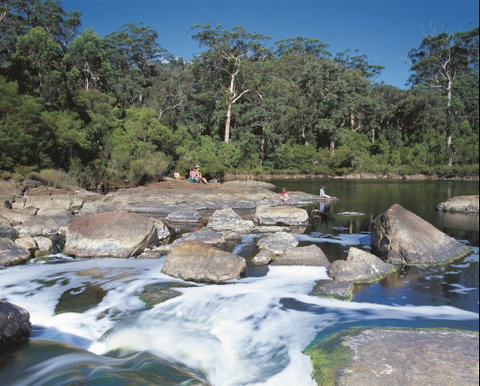 Walpole-Nornalup National Park - Attractions Brisbane 2