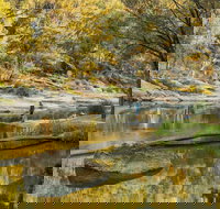 Warrabah National Park - Attractions Brisbane