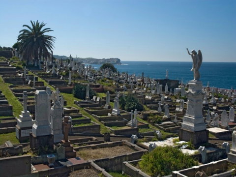 Waverley Cemetery - Attractions Brisbane 0