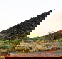 Whyalla Conservation Park - Attractions Brisbane