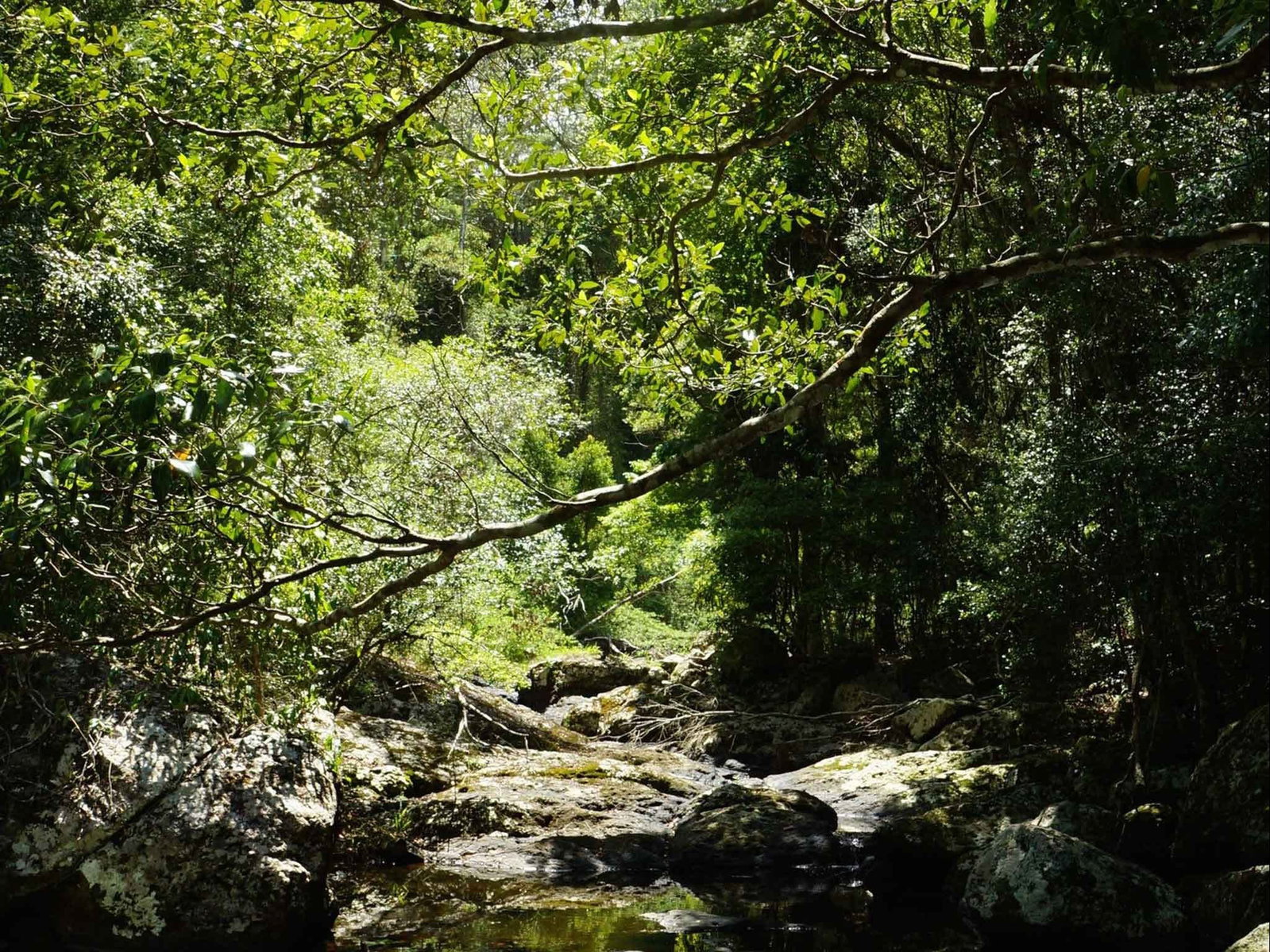 Witta QLD Attractions Brisbane