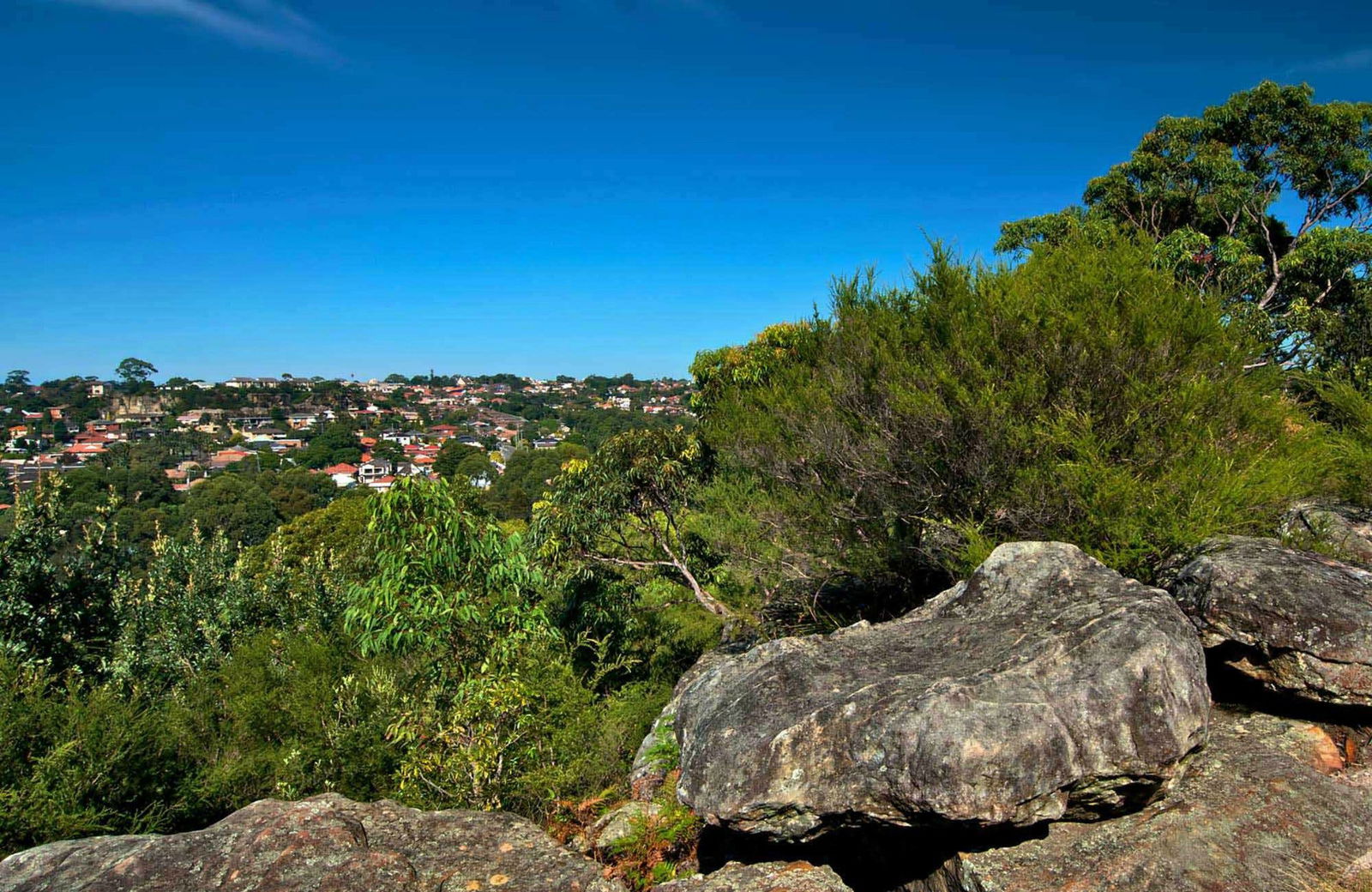 Clemton Park NSW Attractions Brisbane