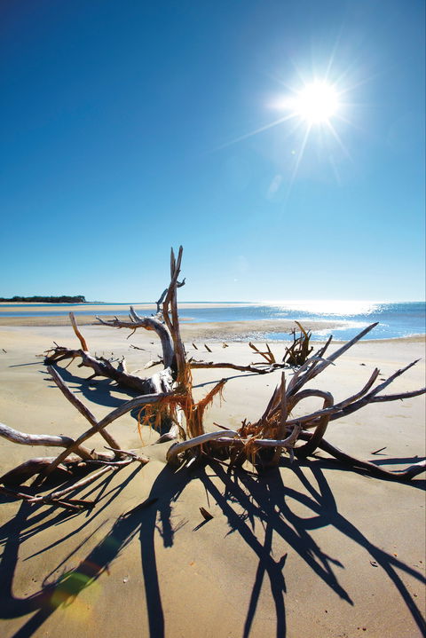 Woodgate Beach Park And Playground - Attractions Brisbane 1