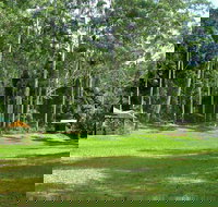 Woolgoolga Creek Picnic Area