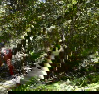 Alfred National Park - Attractions Brisbane