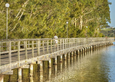 Apex Park Picnic Area Narooma - Attractions Brisbane 1