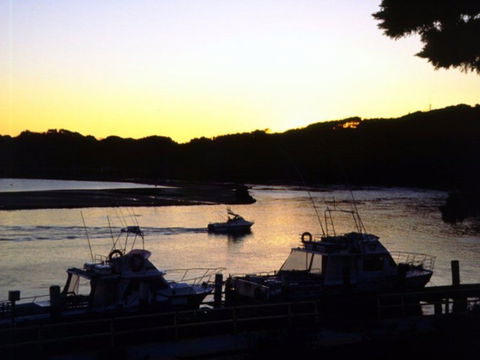 Apex Park Picnic Area Narooma - Attractions Brisbane 2