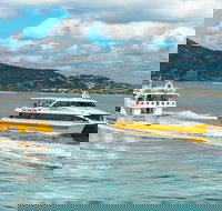 Apex Camps Magnetic Island Group Accommodation Activities and Events - Attractions Brisbane