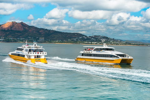 Apex Camps Magnetic Island Group Accommodation, Activities And Events - Attractions Brisbane 0