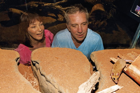 At The Creek Visitor Information Centre - Attractions Brisbane 0